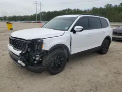 5XYP5DGC0SG594559 2025 KIA TELLURIDE