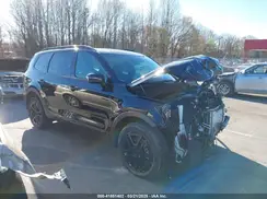 5XYP5DGC0SG621677 2025 KIA TELLURIDE
