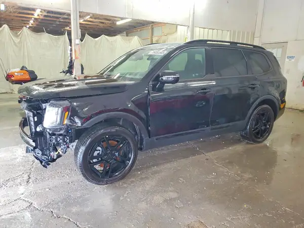 5XYP5DGC0SG625146 2025 KIA TELLURIDE - Image 1