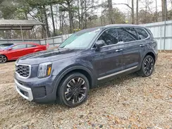 5XYP5DGC0SG650466 2025 KIA TELLURIDE