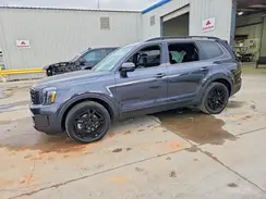 5XYP5DGC0SG659670 2025 KIA TELLURIDE