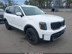 5XYP5DGC0SG726994 2025 KIA TELLURIDE