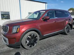 5XYP5DGC1PG390117 2023 KIA TELLURIDE