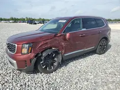 5XYP5DGC1RG416363 2024 KIA TELLURIDE