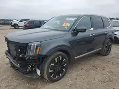 5XYP5DGC1RG420641 2024 KIA TELLURIDE