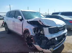 5XYP5DGC1RG428304 2024 KIA TELLURIDE