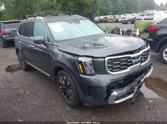 5XYP5DGC1RG436399 2024 KIA TELLURIDE