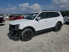 5XYP5DGC1RG442946 2024 KIA TELLURIDE