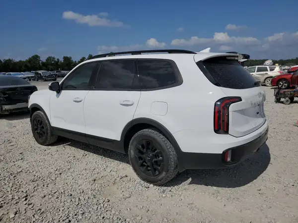 5XYP5DGC1RG442946 2024 KIA TELLURIDE - Image 2