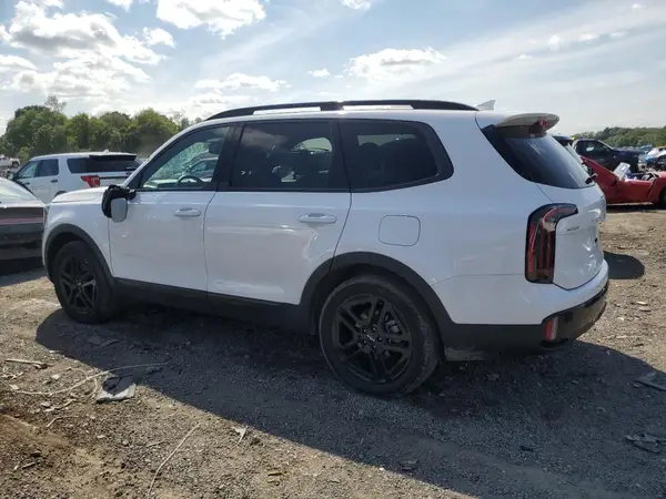 5XYP5DGC1RG448567 2024 KIA TELLURIDE - Image 2