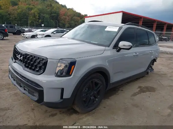 5XYP5DGC1RG448911 2024 KIA TELLURIDE - Image 2