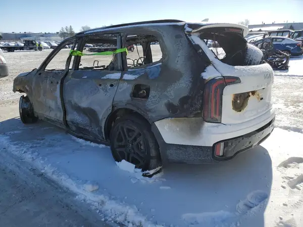 5XYP5DGC1RG452201 2024 KIA TELLURIDE - Image 2