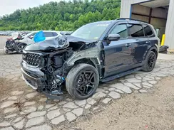 5XYP5DGC1RG455003 2024 KIA TELLURIDE