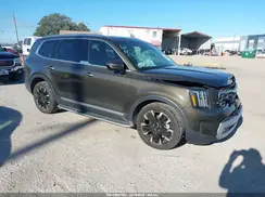 5XYP5DGC1RG461593 2024 KIA TELLURIDE
