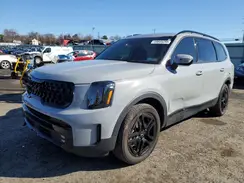 5XYP5DGC1RG467233 2024 KIA TELLURIDE