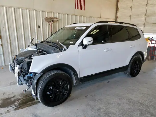 5XYP5DGC1RG478135 2024 KIA TELLURIDE - Image 1