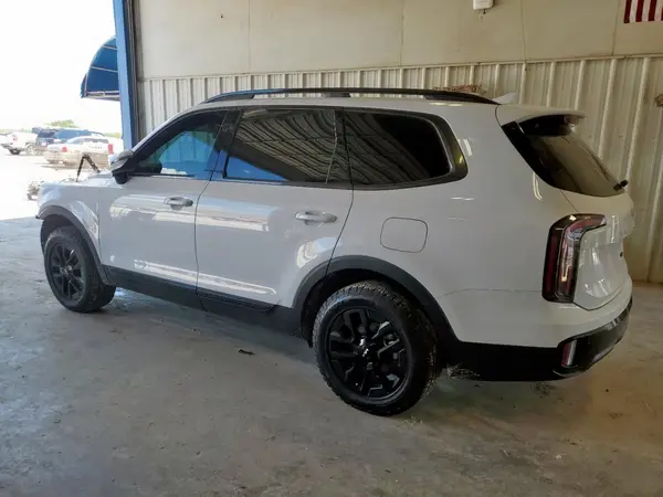 5XYP5DGC1RG478135 2024 KIA TELLURIDE - Image 2