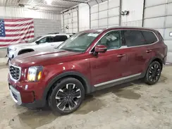 5XYP5DGC1RG480127 2024 KIA TELLURIDE