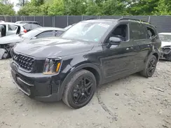 5XYP5DGC1RG494352 2024 KIA TELLURIDE