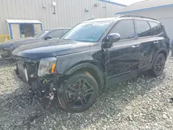 5XYP5DGC1RG494741 2024 KIA TELLURIDE