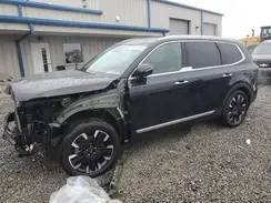 5XYP5DGC1RG507245 2024 KIA TELLURIDE