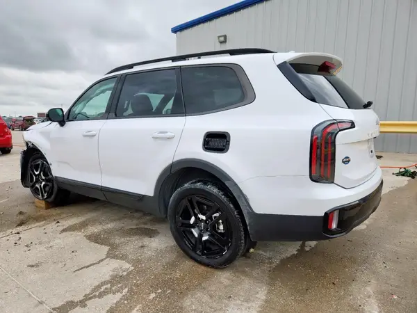 5XYP5DGC1RG512722 2024 KIA TELLURIDE - Image 2