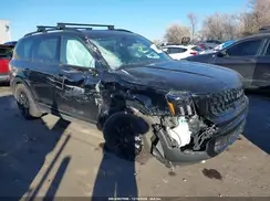 5XYP5DGC1RG513000 2024 KIA TELLURIDE