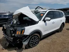 5XYP5DGC1RG521131 2024 KIA TELLURIDE