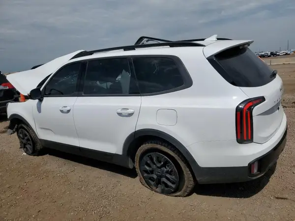 5XYP5DGC1RG521131 2024 KIA TELLURIDE - Image 2
