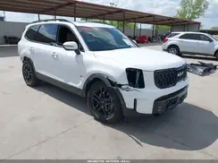 5XYP5DGC1RG524529 2024 KIA TELLURIDE
