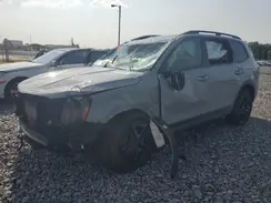 5XYP5DGC1RG526569 2024 KIA TELLURIDE