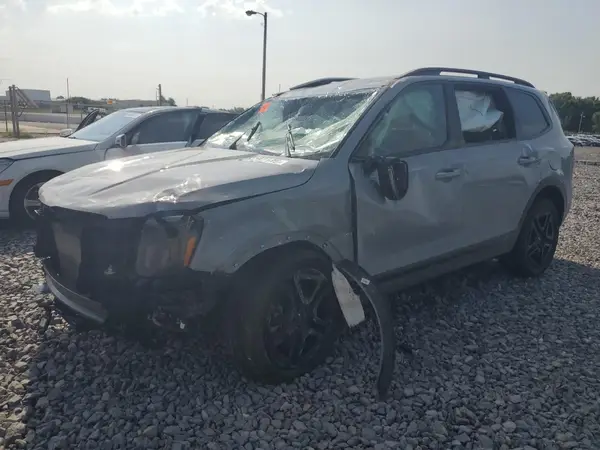 5XYP5DGC1RG526569 2024 KIA TELLURIDE - Image 1