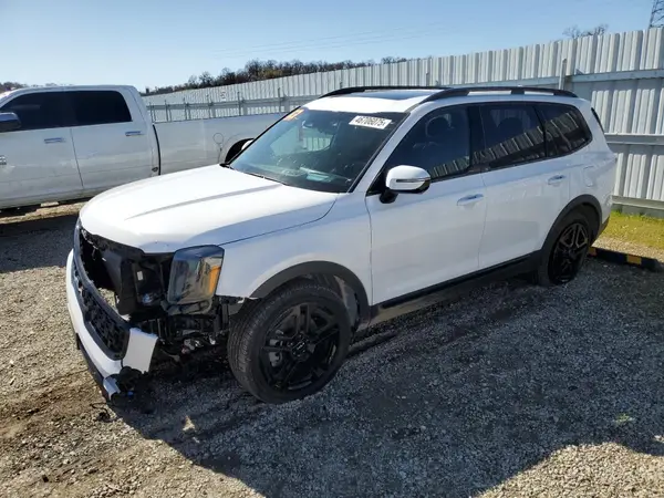 5XYP5DGC1RG528869 2024 KIA TELLURIDE - Image 1