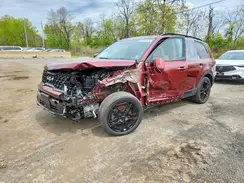 5XYP5DGC1RG539516 2024 KIA TELLURIDE