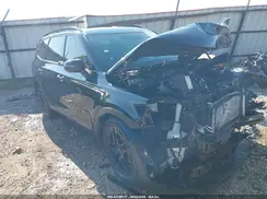 5XYP5DGC1RG545445 2024 KIA TELLURIDE