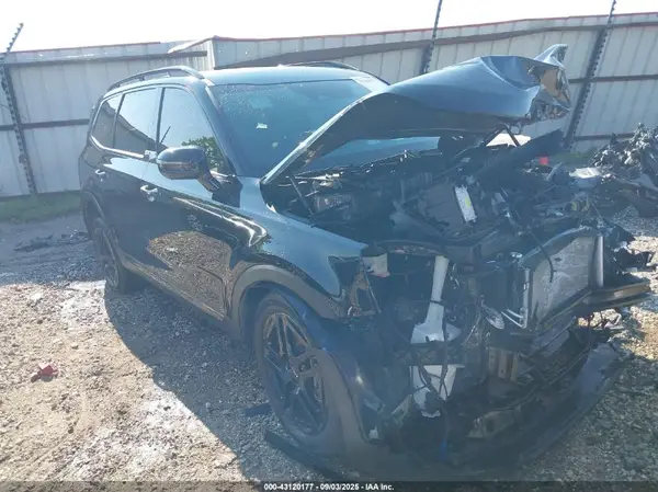 5XYP5DGC1RG545445 2024 KIA TELLURIDE - Image 1