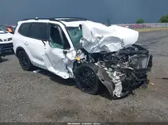 5XYP5DGC1RG556784 2024 KIA TELLURIDE