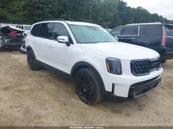 5XYP5DGC1SG610915 2025 KIA TELLURIDE
