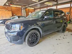 5XYP5DGC1SG627326 2025 KIA TELLURIDE