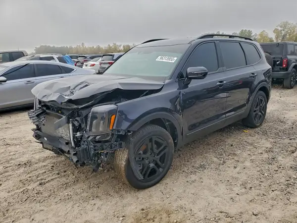 5XYP5DGC1SG666949 2025 KIA TELLURIDE - Image 1