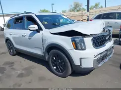 5XYP5DGC2PG365145 2023 KIA TELLURIDE