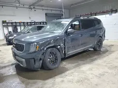 5XYP5DGC2PG373567 2023 KIA TELLURIDE