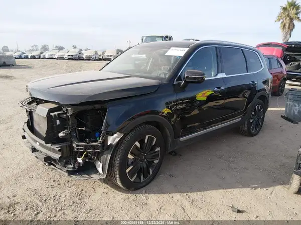 5XYP5DGC2PG402095 2023 KIA TELLURIDE - Image 2