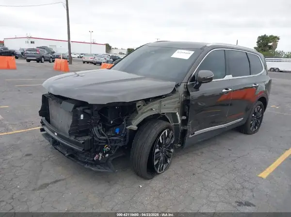 5XYP5DGC2RG417456 2024 KIA TELLURIDE - Image 2