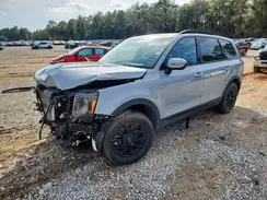 5XYP5DGC2RG429543 2024 KIA TELLURIDE