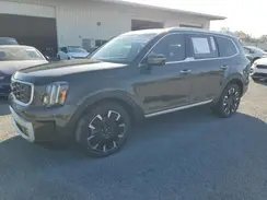 5XYP5DGC2RG436458 2024 KIA TELLURIDE