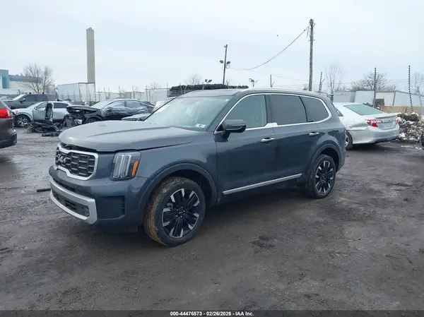 5XYP5DGC2RG453213 2024 KIA TELLURIDE - Image 2