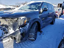 5XYP5DGC2RG455804 2024 KIA TELLURIDE