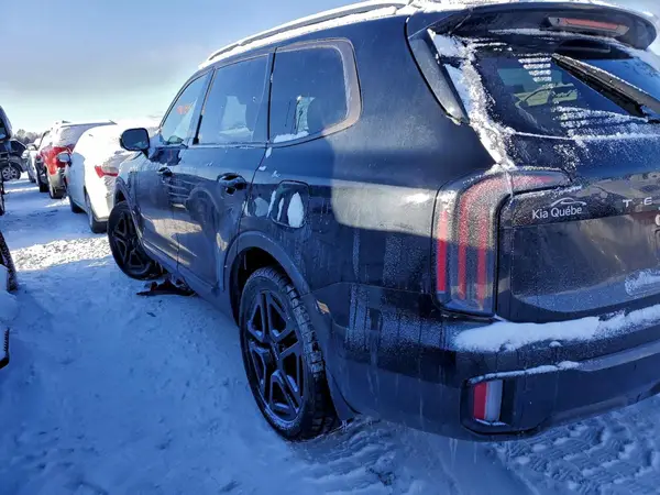 5XYP5DGC2RG455804 2024 KIA TELLURIDE - Image 2