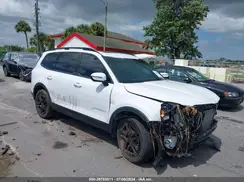 5XYP5DGC2RG459156 2024 KIA TELLURIDE